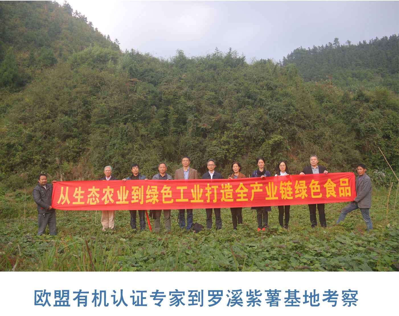 產(chǎn)業(yè)帶動