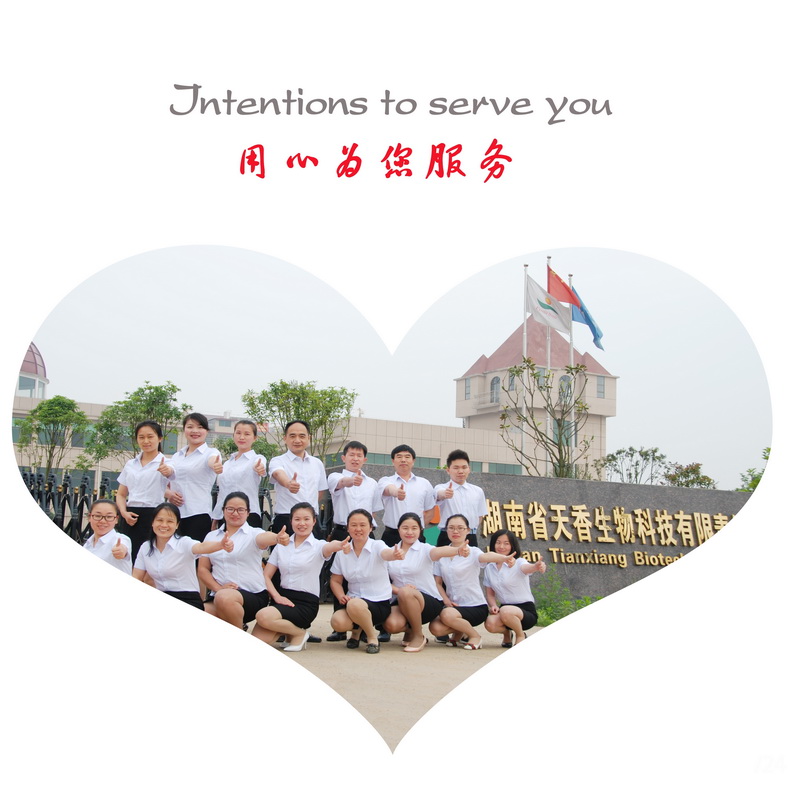 團(tuán)隊(duì)照片.jpg 團(tuán)隊(duì)照片.jpg