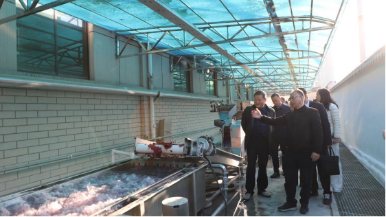 雙清區(qū)委書記曾秦偉帶隊(duì)走訪天香生物參觀調(diào)研，助力鄉(xiāng)村振興