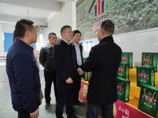 市委常委、組織部部長、統(tǒng)戰(zhàn)部部長龔紅果蒞臨天香生物調研