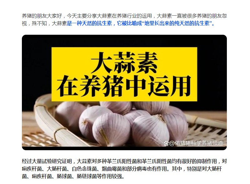 大蒜素在養(yǎng)豬行業(yè)的運(yùn)用，您了解多少？