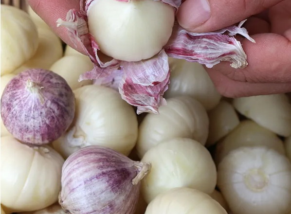 邵陽諸多農特產的發(fā)源地 關于家鄉(xiāng)的雪峰山你了解多少？