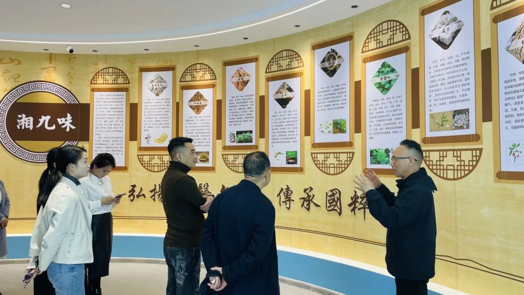 種下梧桐樹，引得鳳凰來