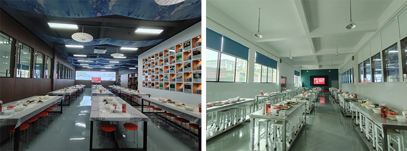 “校企牽手、雙向奔赴”邵陽200余名大學生走進天香生物